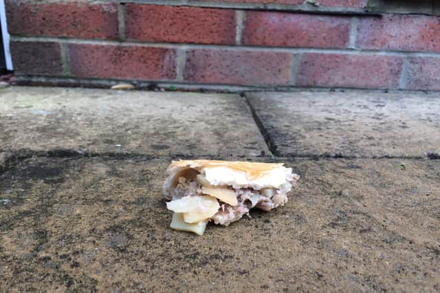 A woman must fork out more than £200 after dropping a pasty in Sunderland city centre. This picture was taken on private land for illustrative purposes.