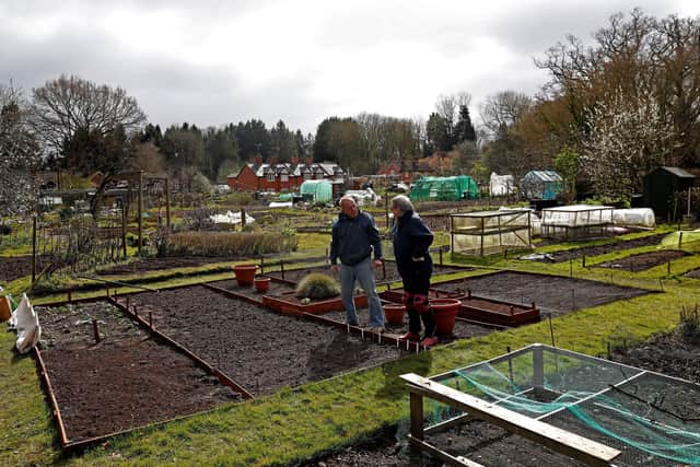 National Allotment Week is coming up and here’s all you need to know if it inspires you to try and get your own space.(Photo by ADRIAN DENNIS/AFP via Getty Images)