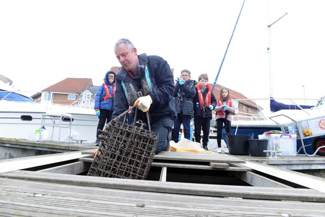 Wildlife Biologist Stephen Brend hauling up one of the 30 oyster nurseries as part of the Wild Oyster project at Sunderland Marina.