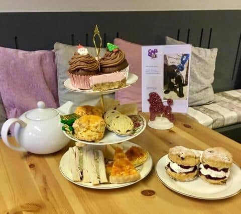 Their afternoon teas for humans are proving popular