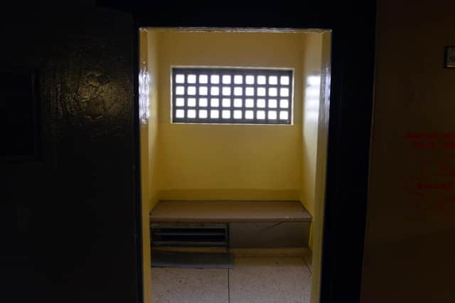 Inside the cells