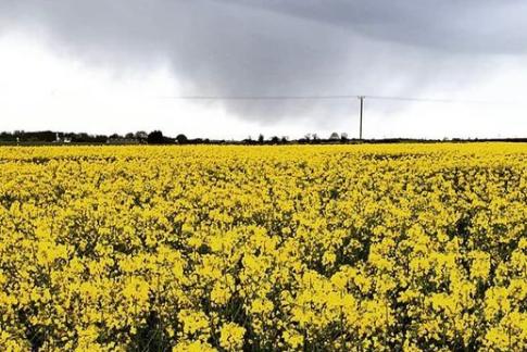 This image really invokes spring time. From @the_pottedplanter