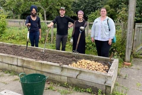Sunderland University students (left to right) Gurmakh Singh, Graeme Jobes, Marta De Brito and Katrina Priest harvesting their potatoes to donate to the Sunderland Community Soup Kitchen.