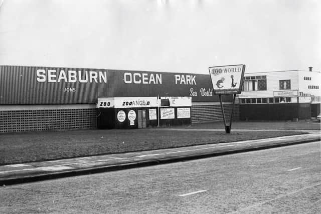 Did you love a visit to Ocean Park?