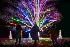 Neon tree by Culture Creative. Photo by Richard Haughton