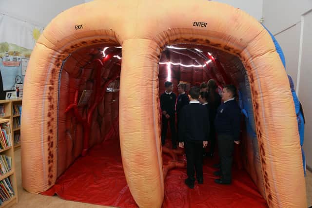 Hetton Lyons Primary School pupils venture inside the giant brain to discover how it works.