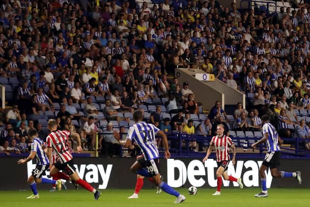 Sunderland fell to a disappointing defeat at Sheffield Wednesday