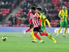 Sunderland player rating photos: Two 7s for Tony Mowbray's side despite West Brom defeat