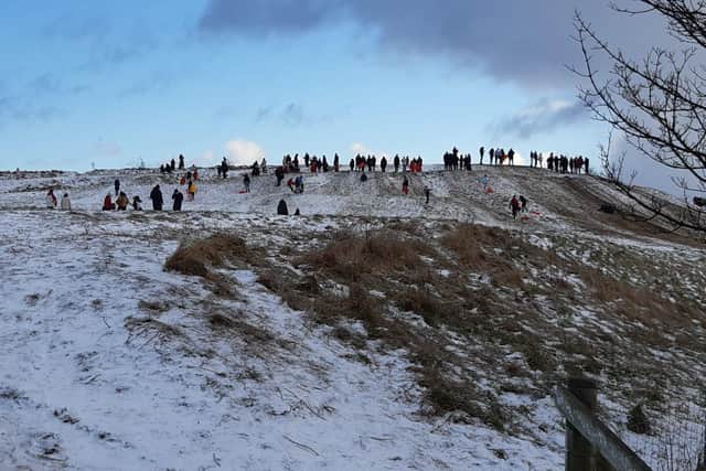 Families out on Cleadon Hills sledging yesterday, with the nature reserve one of many popular spots during the winter weather.