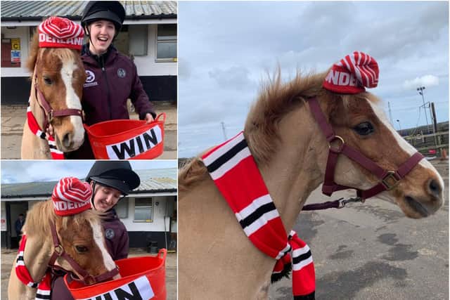 Sunderland’s very own psychic pony is in neigh doubt as to the outcome of the football club’s trophy quest this weekend.