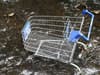 Sunderland Council could wheel in £100 shopping trolley fines across the city