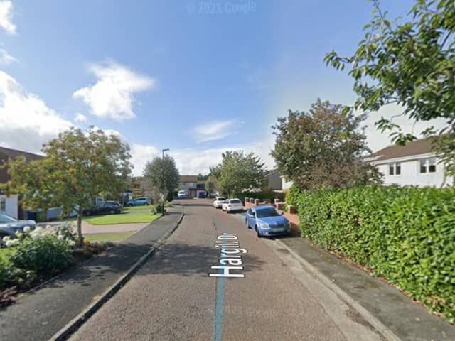 General view of Hargill Drive, Washington. Picture: Google Maps