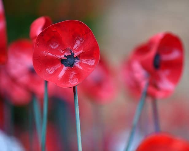 The details have been released for this year’s Remembrance Day service in Peterlee.