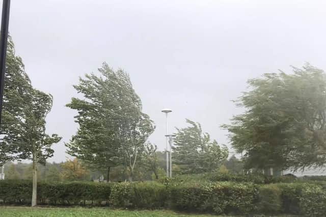 Sunderland hit by heavy winds