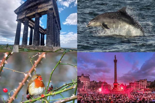 The Sunderland Echo readers celebrate their favourite pictures of the year.