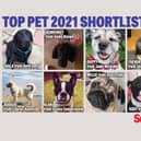 You can vote now in our Top Pet shortlist.