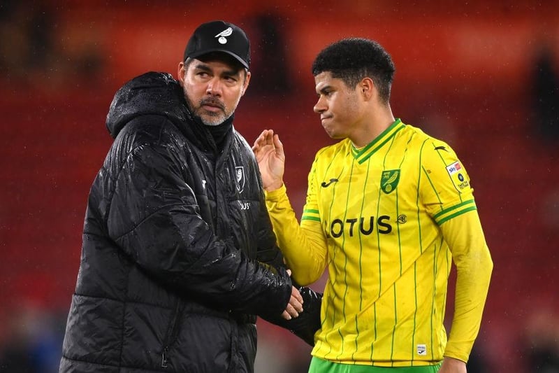 Norwich appointed former Huddersfield boss Wagner in January 2023 on a 12-month rolling contract.