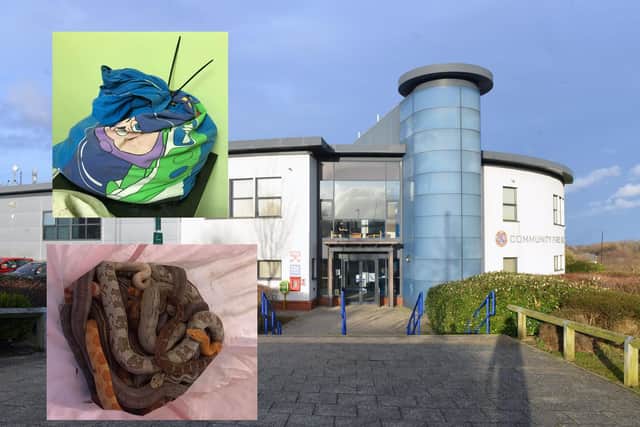 29 snakes were dumped in two different incidents at Farringdon Fire Station in Sunderland