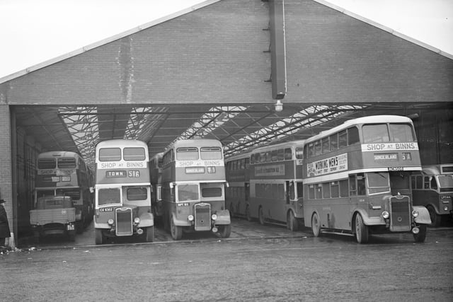 Park Lane buses in January 1957. Remember those 'shop at Binns' adverts?