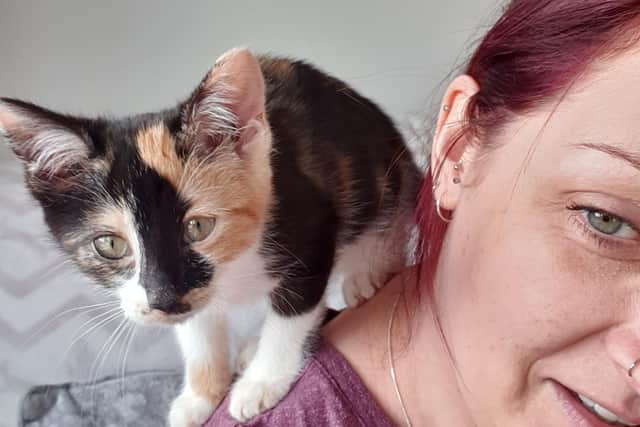 Katie has been left 'heartbroken' after her kitten was allegedly attacked by a dog.