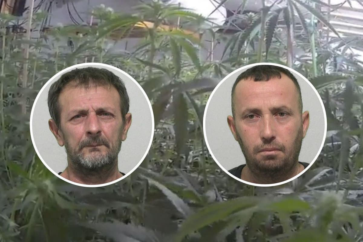 Zwei Menschen müssen nach Razzia der Polizei von Northumbria gegen eine ...