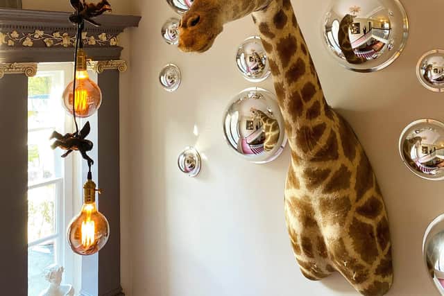 A giraffe head looms large over the central staircase