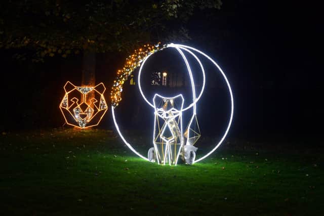 An installation at the Festival of Light at Roker Park in 2022.