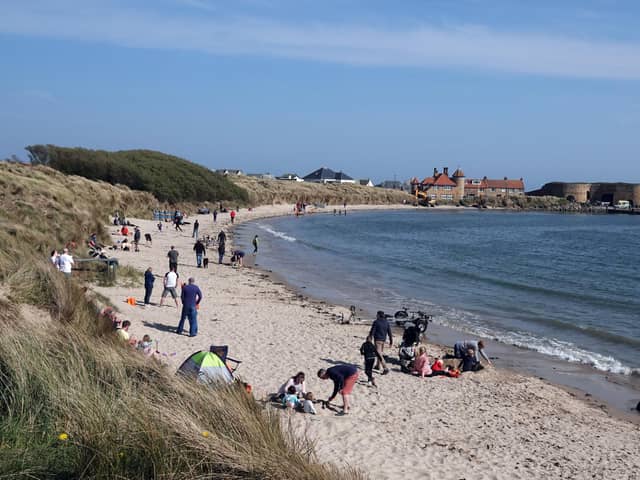 Beadnell Bay. Picture by Jane Coltman
