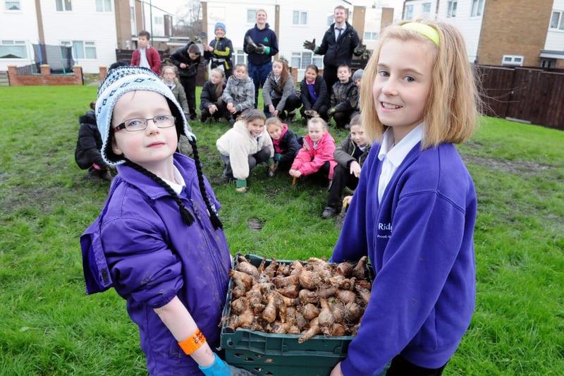 Ridgeway Primary School pupils Michael Rising and Maya Krawczyk were pictured as part of a scheme to plant daffodil bulbs across Harton Moor Estate in 2013.