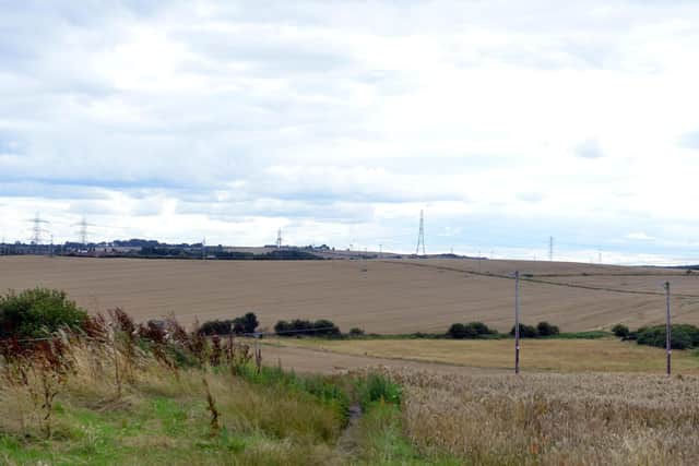 The site of the proposed Murton solar farm. Picture, Sunderland Echo.