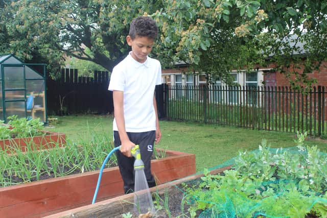 Wez Cole, 9, watering the vegetable garden.