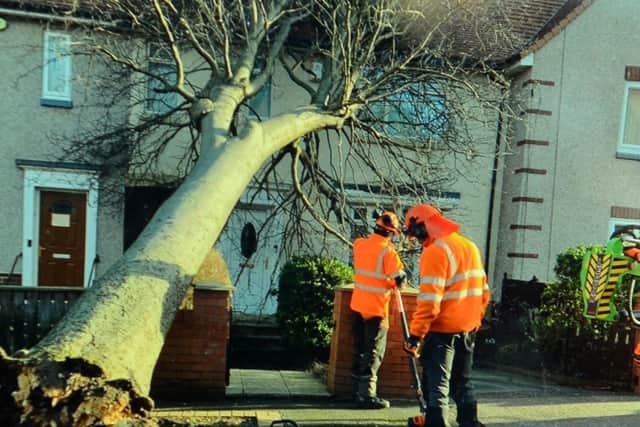 A tree fell on John's house at the end of January.