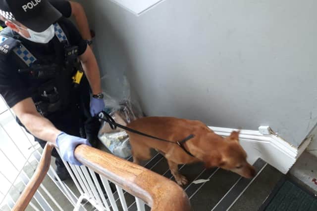 Police Dog Colin helped with the search