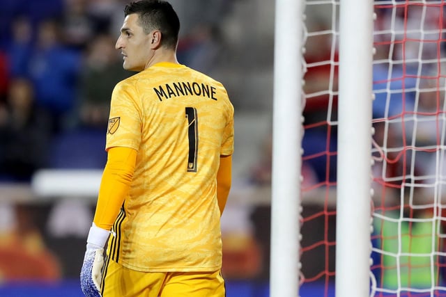 Voto Mannone was linked with a return to Sunderland but ended up signing for Ligue 1 club Lorient