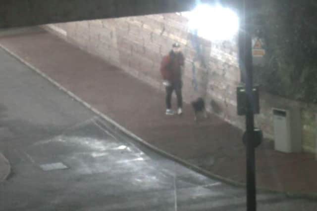The man was seen walking a dog in the area at the time of the incident.