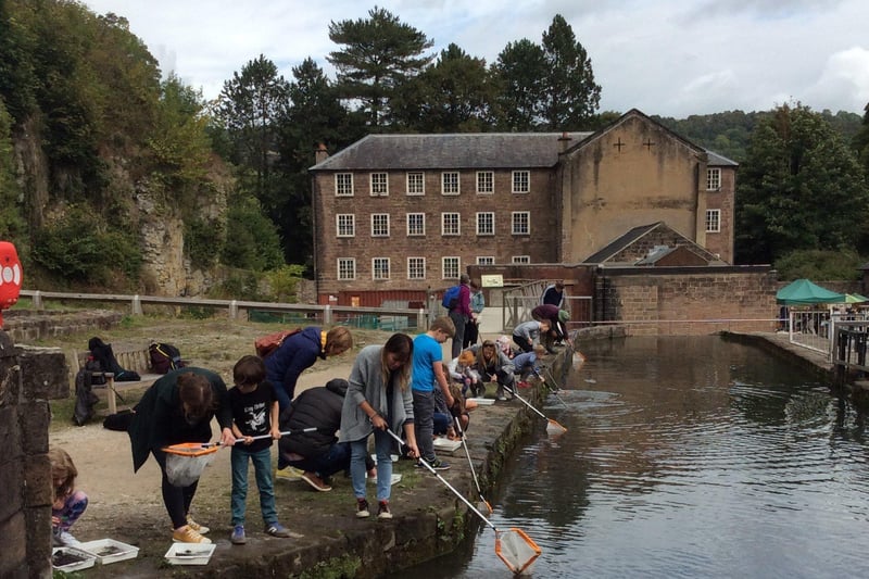 Enjoy a walk along the Cromford Canal or try pond dipping at Cromford Mills on a visit to the World Heritage site.