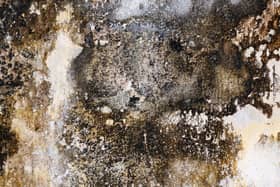 Mould can cause health issues. Picture c/o Pixabay.