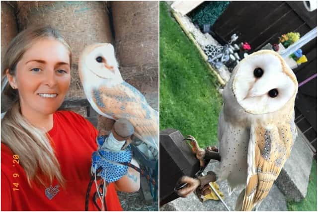 Barn owl Blinks with owner Ashleigh Ferguson.
