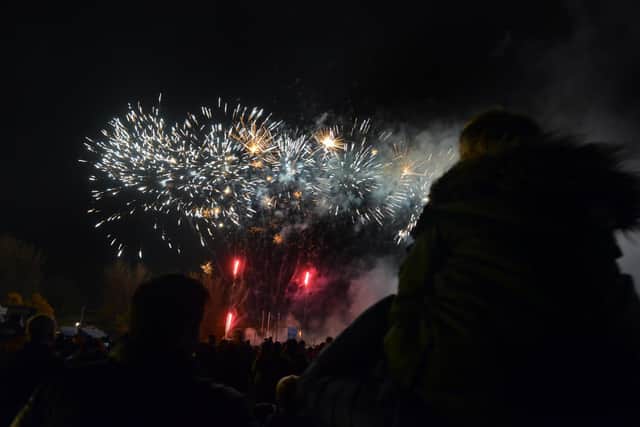 How to keep pets safe during fireworks according to information from the RSPCA.