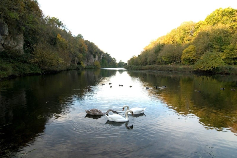 Enjoy an outdoor trail through spectacular Creswell Crags. The centre's museum exhibition and gift shop re-opened on May 17.