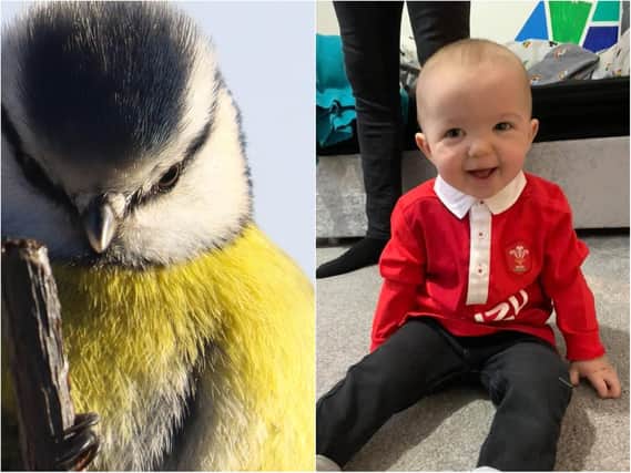Birdwatching and young Six Nations fans are among the top pictures taken in north Northamptonshire within the last week.