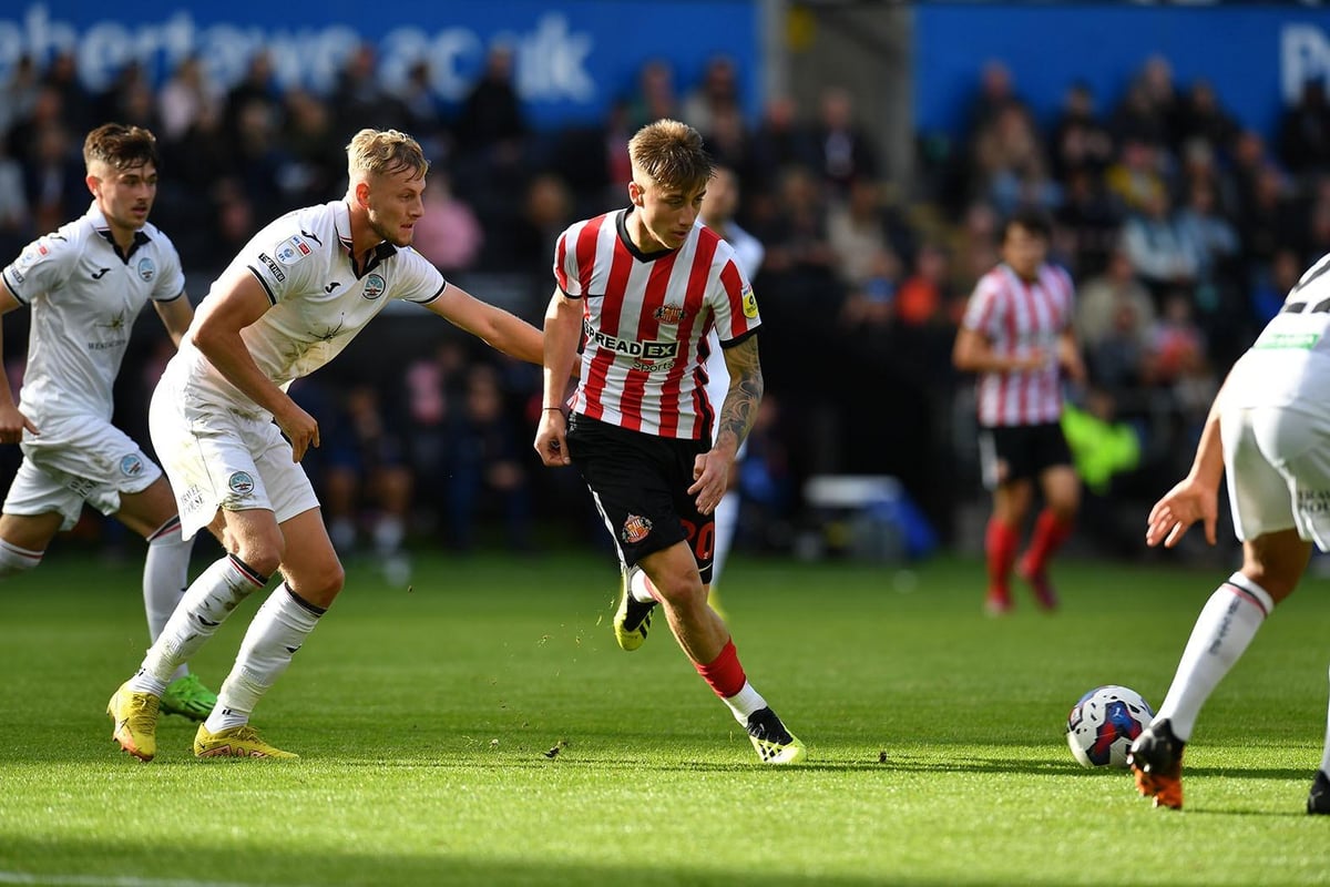 Pundit reveals why ex-Leeds and Tottenham Hotspur ace ‘loves’ Sunderland