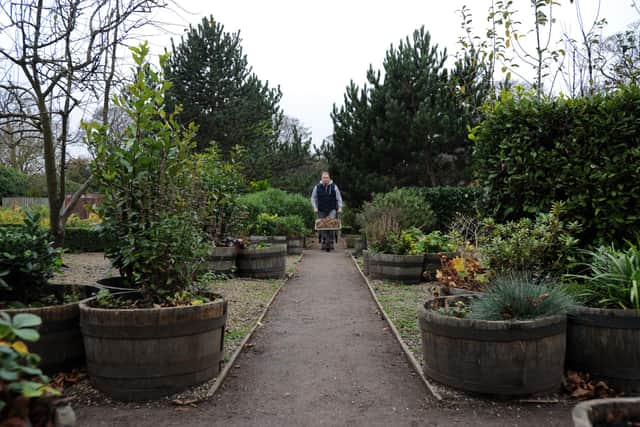 Friends of Doxford Park chairman Karl Stabler in the Walled Garden, which is being restored with help from Crowd Funding.