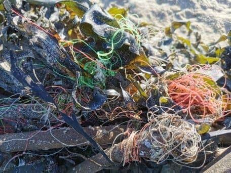 Fishing line tagled up with seaweed on Roker Beach, as found by Vijay Kritzinger during her sweep of the shoreline.