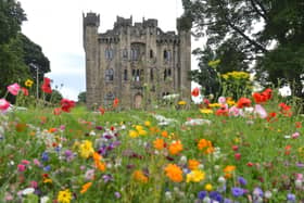 Hylton Castle's wild flowers are in full bloom, but other areas of its grounds and surrounding trees and land have been left damaged by fires.