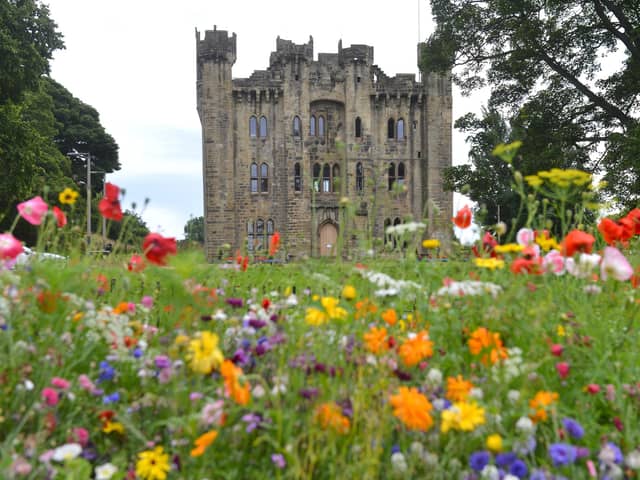 Hylton Castle's wild flowers are in full bloom, but other areas of its grounds and surrounding trees and land have been left damaged by fires.