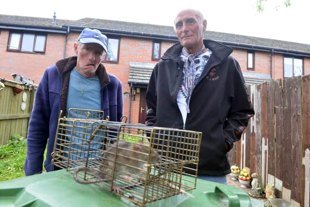 Donnison Gardens residents Paul Reay and Jimmy Smart, right, have been catching rats which are overrun around the area.