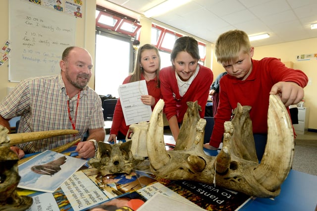 A careers event with a difference at South Hetton Primary in 2010. Dr Bob Baxter (left) of Durham University brought a hippopotamus skull with him as met pupils  l-r Ellie Carson-White, Claudia Waiter and Logan Gribben.