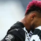 Joelinton is back in training with Newcastle United's first-team squad after an unexplained absence.