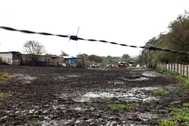 The field in Hetton where 'a number of horses' were rescued by the RSPCA on October 16